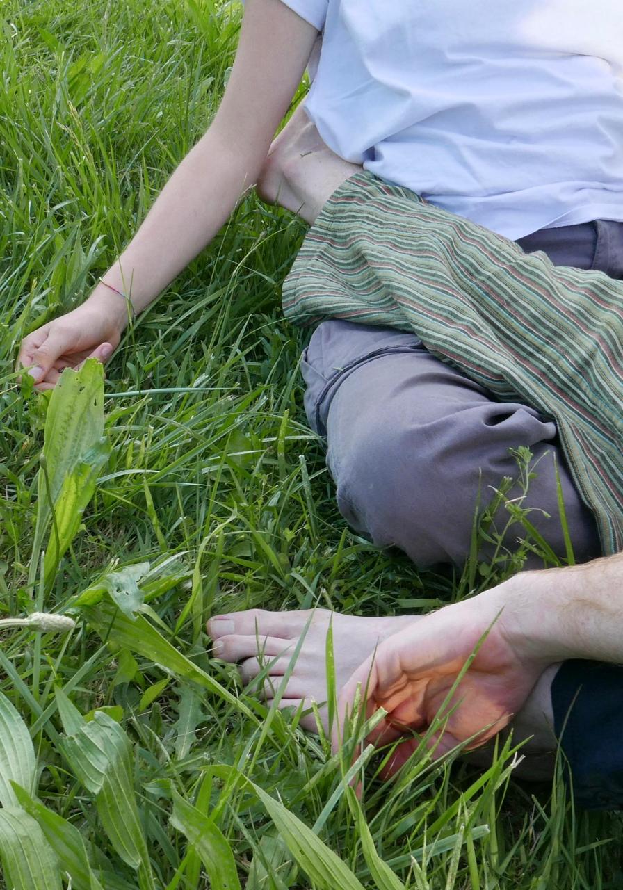 flussi come atto di cura zebra sonada natura futura