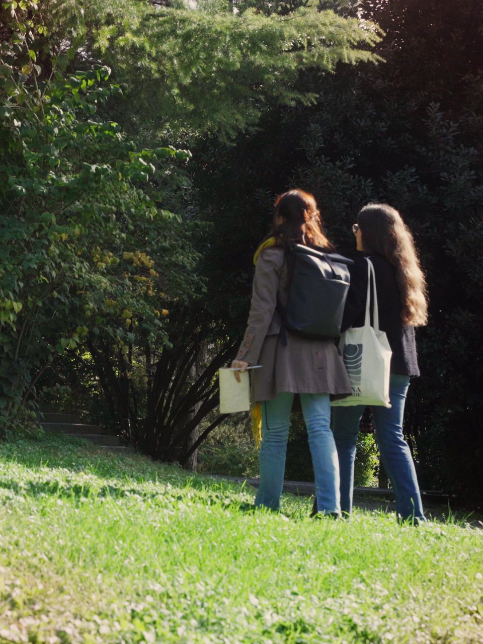 oltre le radici oltre le fronde elena ajani natura futura