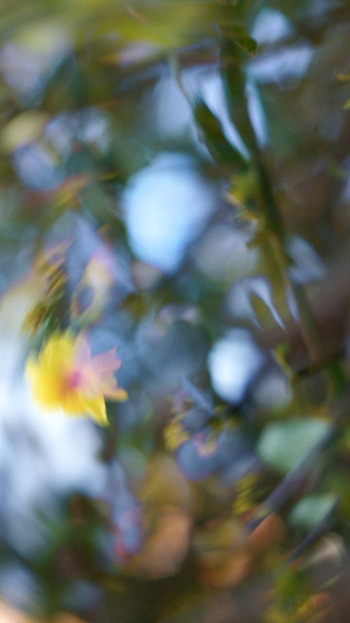 sfondo natura futura collettivo